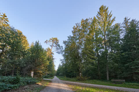 Gemeinde Altötting Landkreis Altötting Forst Fürstenweg Steinhäufellinde (Dirschl Johann) Deutschland AÖ